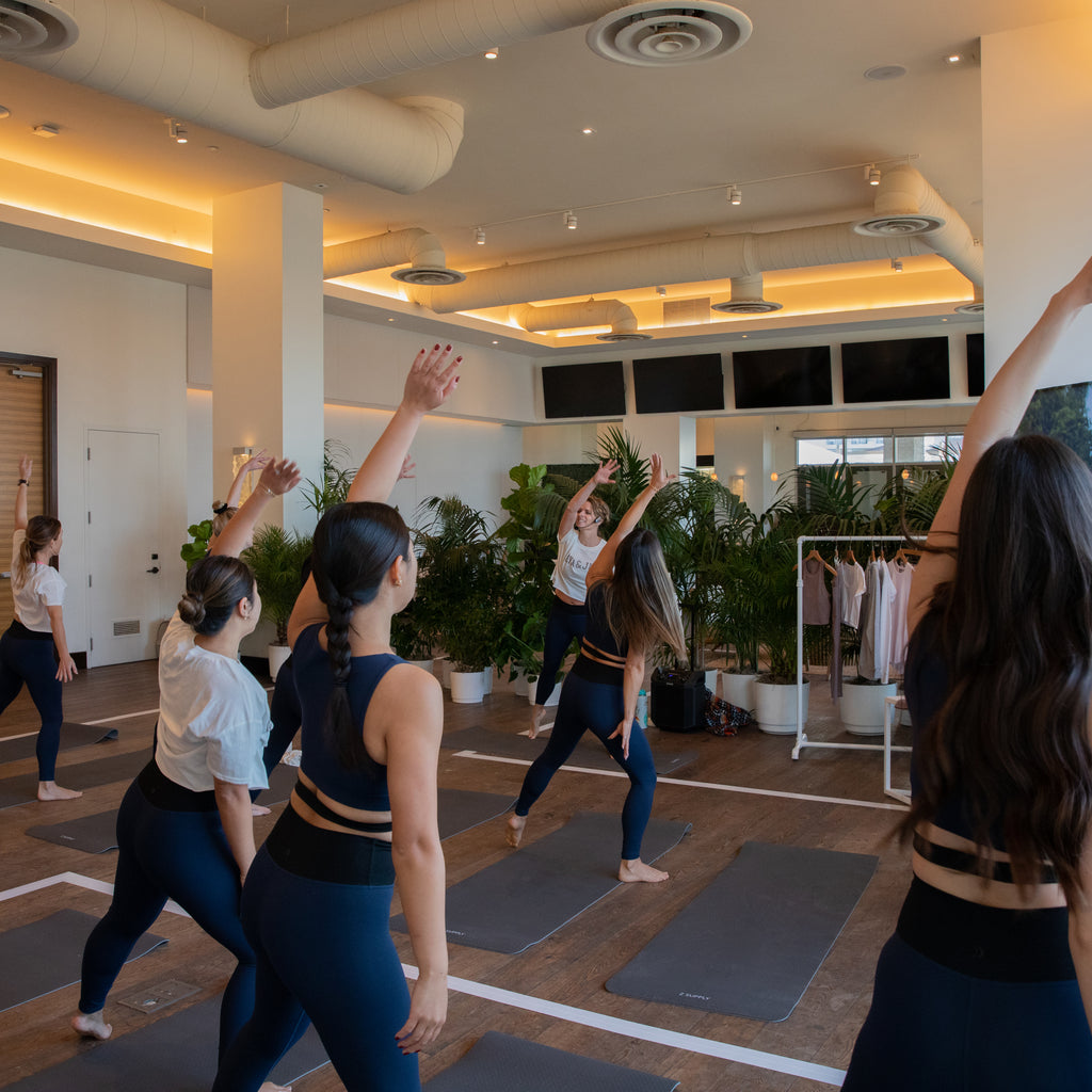 Z SUPPLY Active x The Active Collective