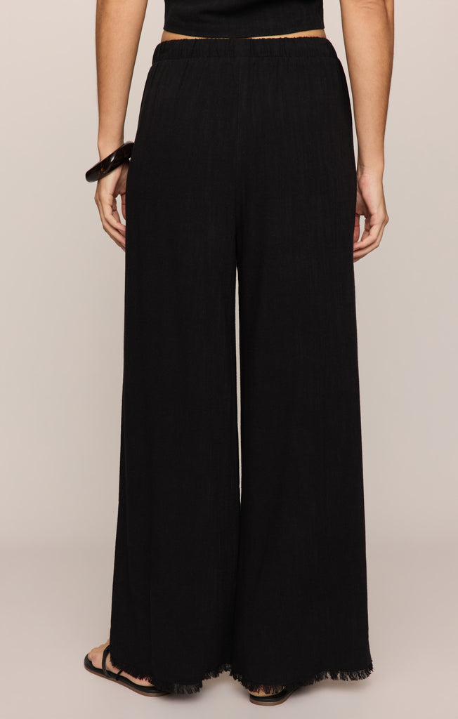 ZP253175_BLK_BACK_1a84731a-