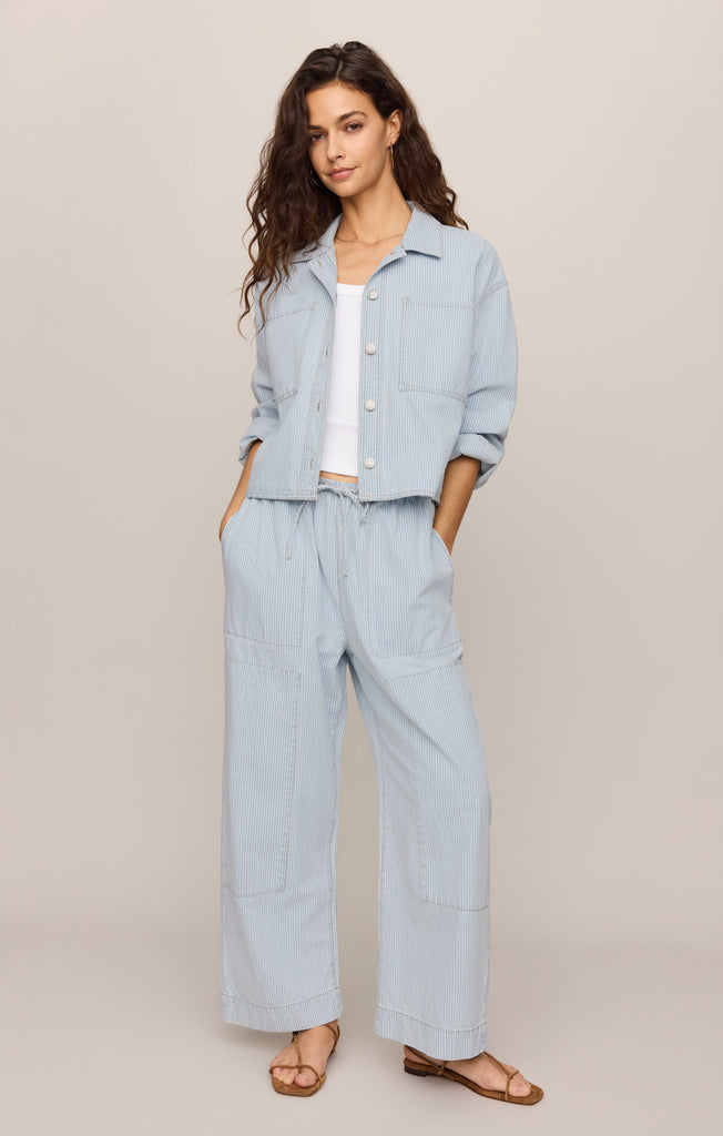 Soft Denim Carpenter Pant – Z SUPPLY