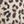 Pants Luxe Leopard Pant Luxe Leopard Pant