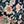 Dresses Kat Printed Midi Dress Kat Printed Midi Dress