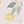 Tops Summer Lemon Set Summer Lemon Set