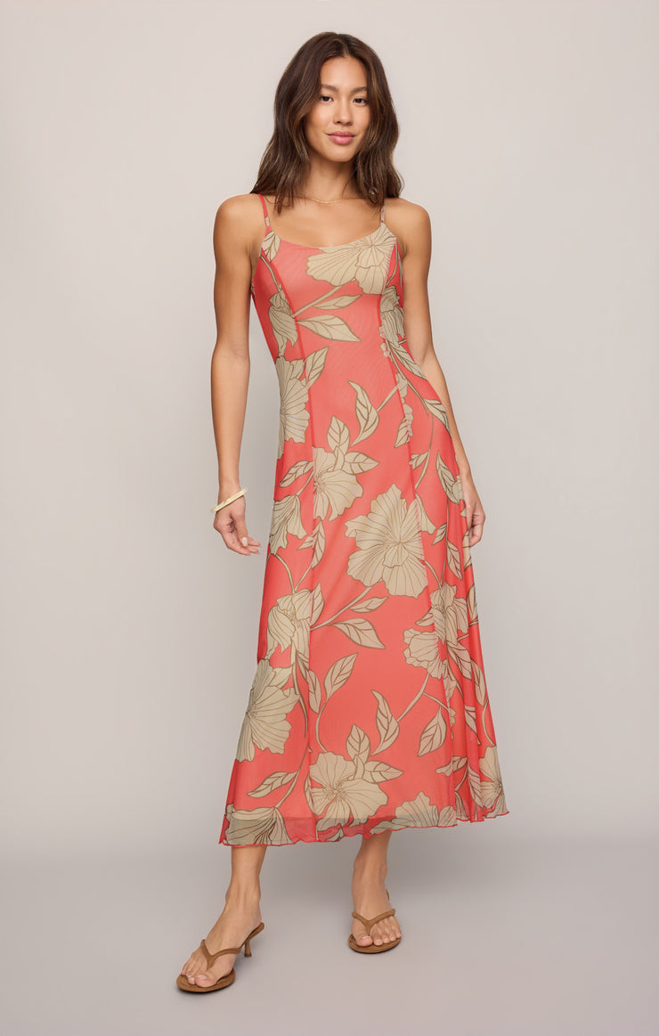Dresses Charisma Bloom Midi Dress Gelato