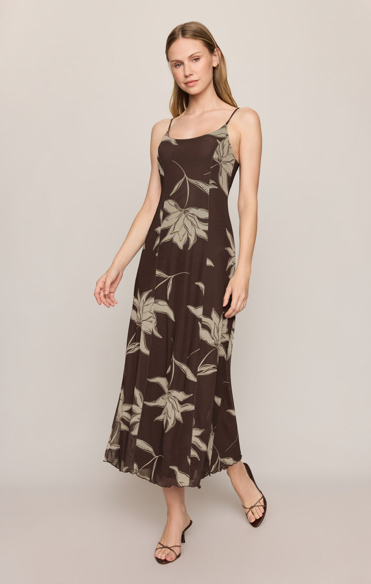 Dresses Charisma Floral Mesh Maxi Dress Dark Chocolate