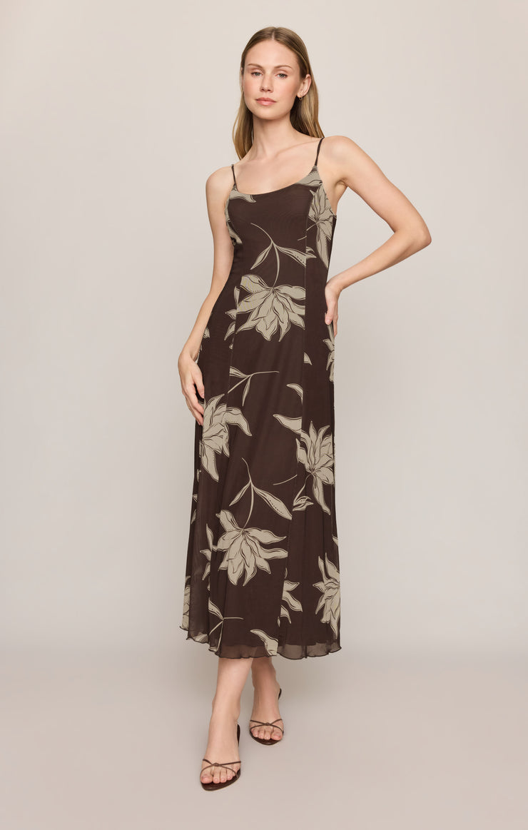 Dresses Charisma Floral Mesh Maxi Dress Dark Chocolate