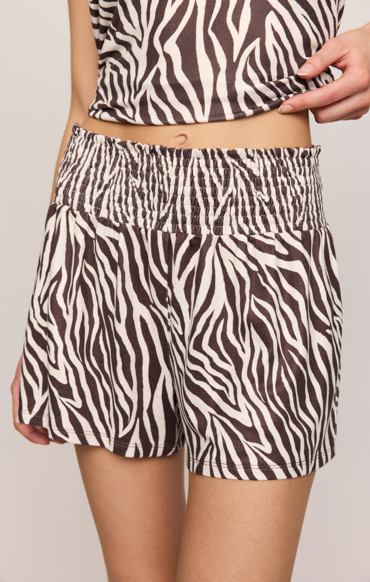 Zebra Set