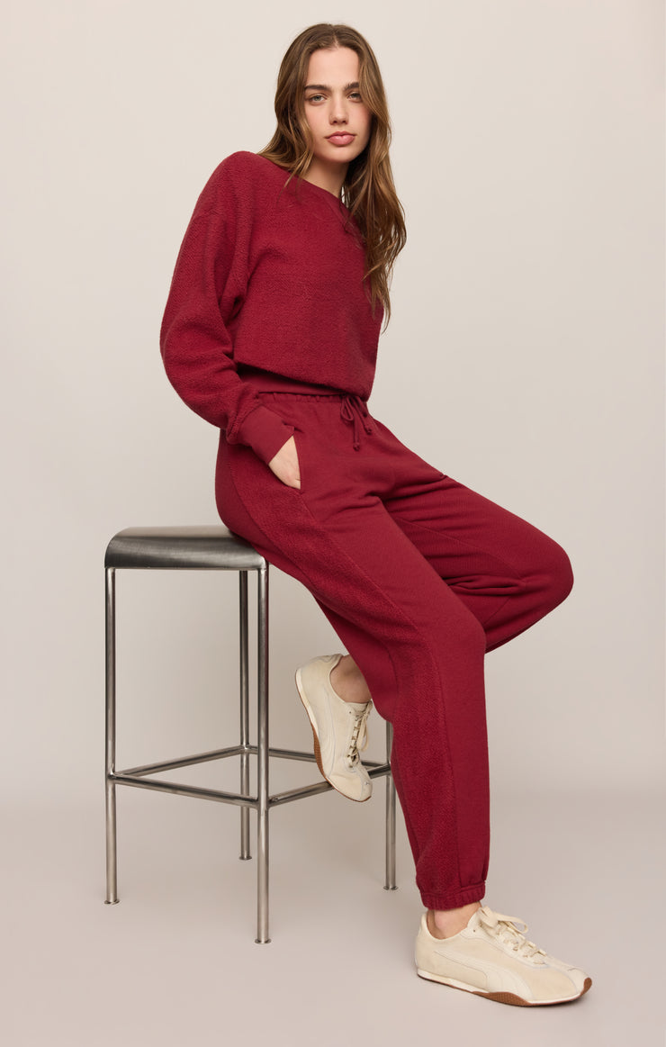 Pants Basecamp Textured Jogger Red Dahlia