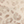 Tops Formation Leopard Top Formation Leopard Top
