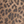 Pants Marli Denim Leopard Pant Marli Denim Leopard Pant
